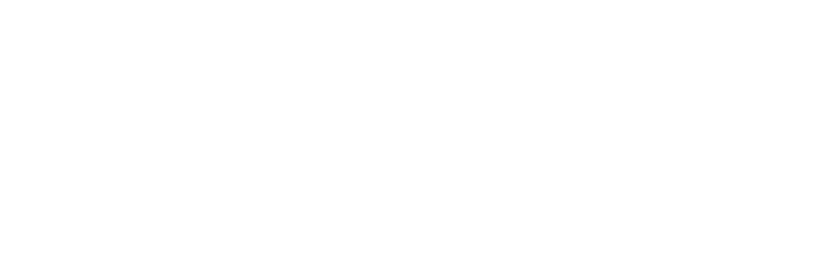 Wolf Click Marketing